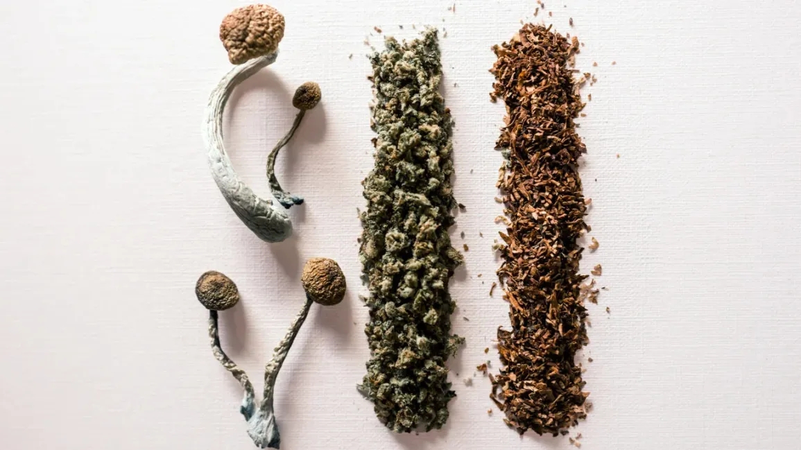 Cannabis & Magic Mushrooms: A Surprising Combination
