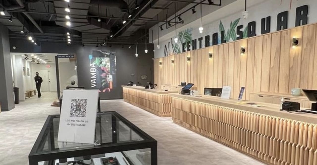 The Best Dispensaries In Cambridge, MA
