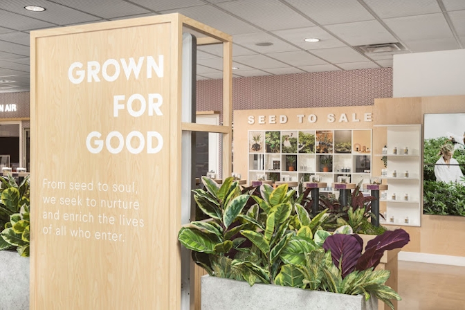 5 Best Dispensaries In Mesa, AZ