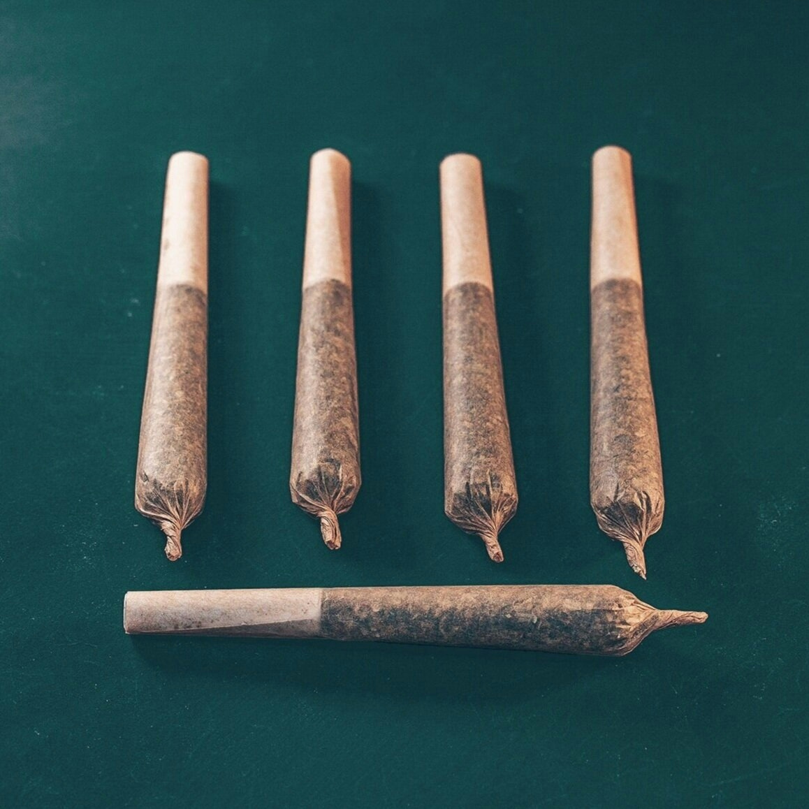 Herbworthy: Rogue Origin’s Lifter Rogue Rollers – Hemp Pre-Rolls