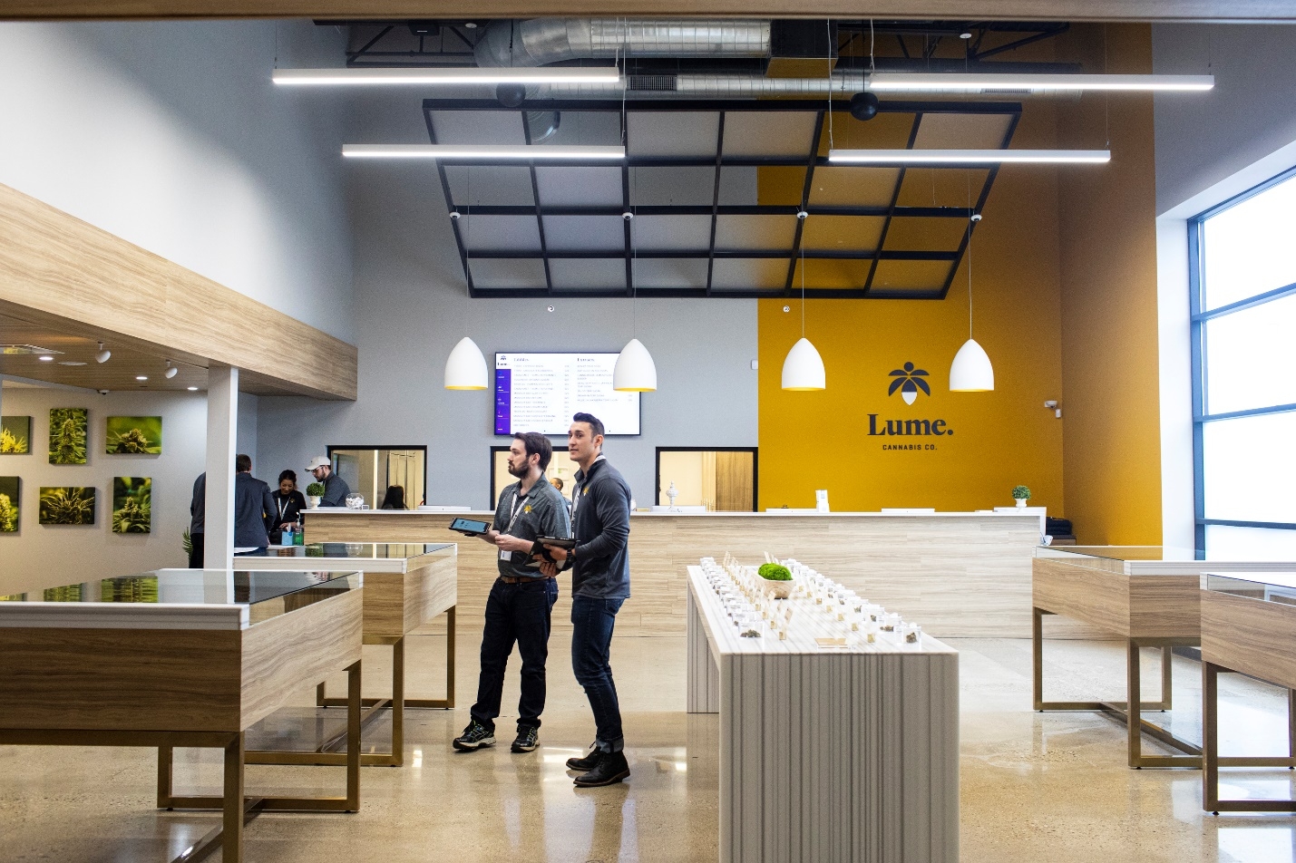 The Best Dispensaries In Ann Arbor, MI