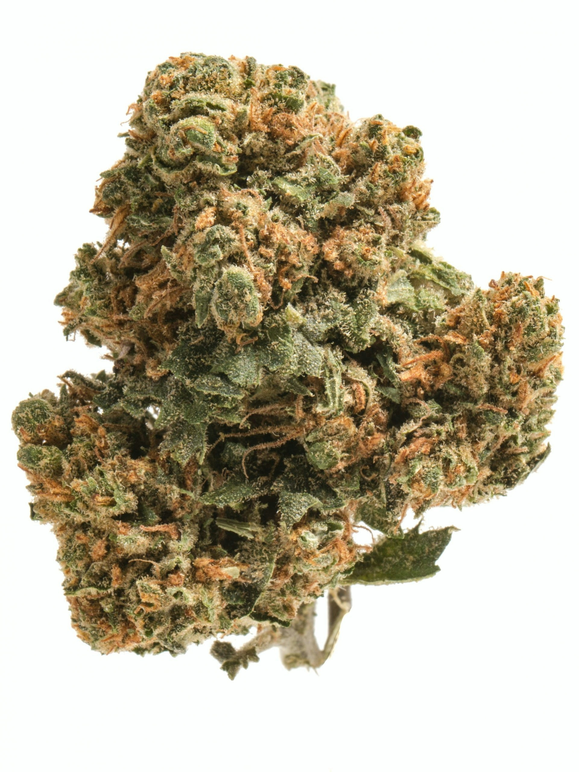 Best Cannabis Strains That Help With Arthritis Pain