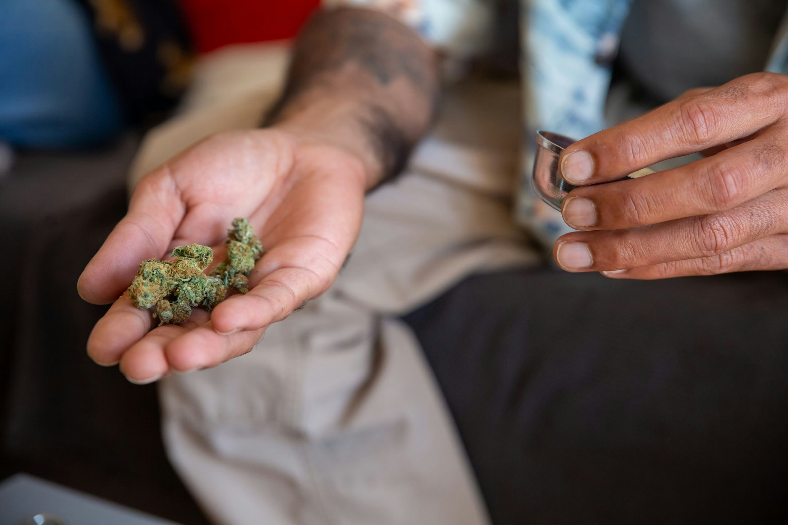 Palm of a hand holding dense nugs of cannabis flower.