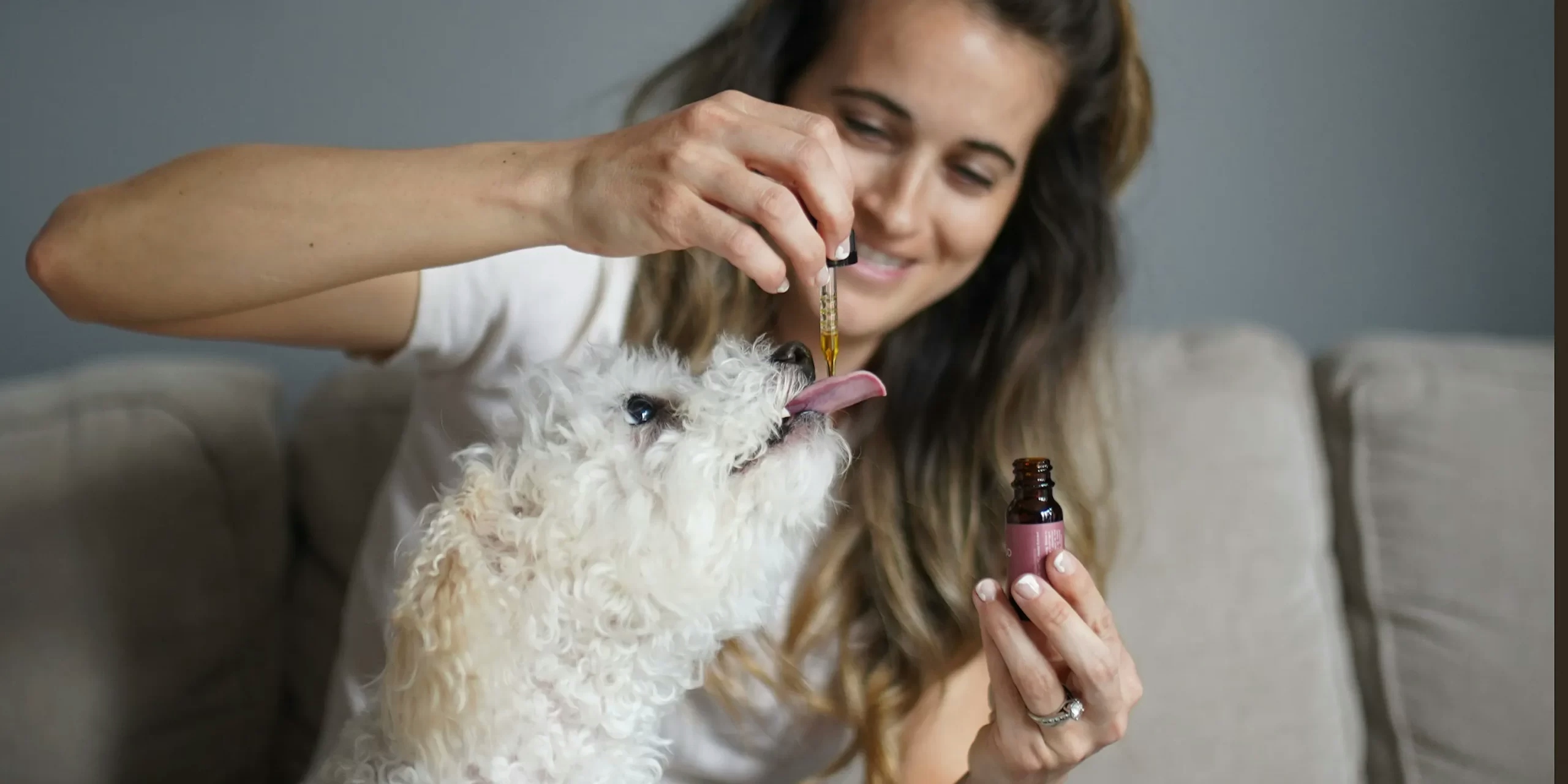 Treating Seizures In Pets With CBD