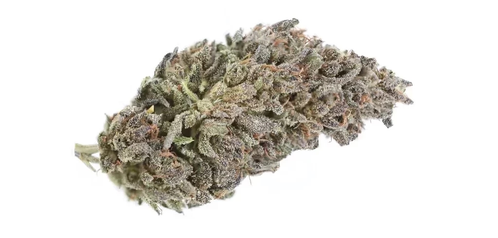 The Best Weed Strains For Male Arousal