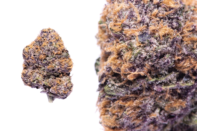 The Best Weed Strains For Male Arousal