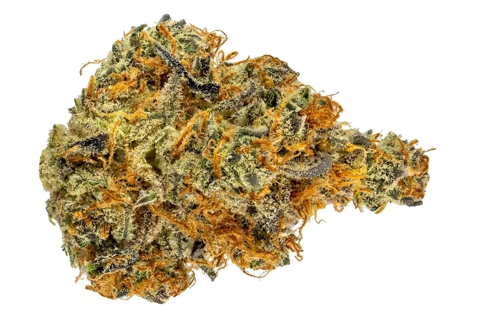 The Top 5 THCA Flower Strains