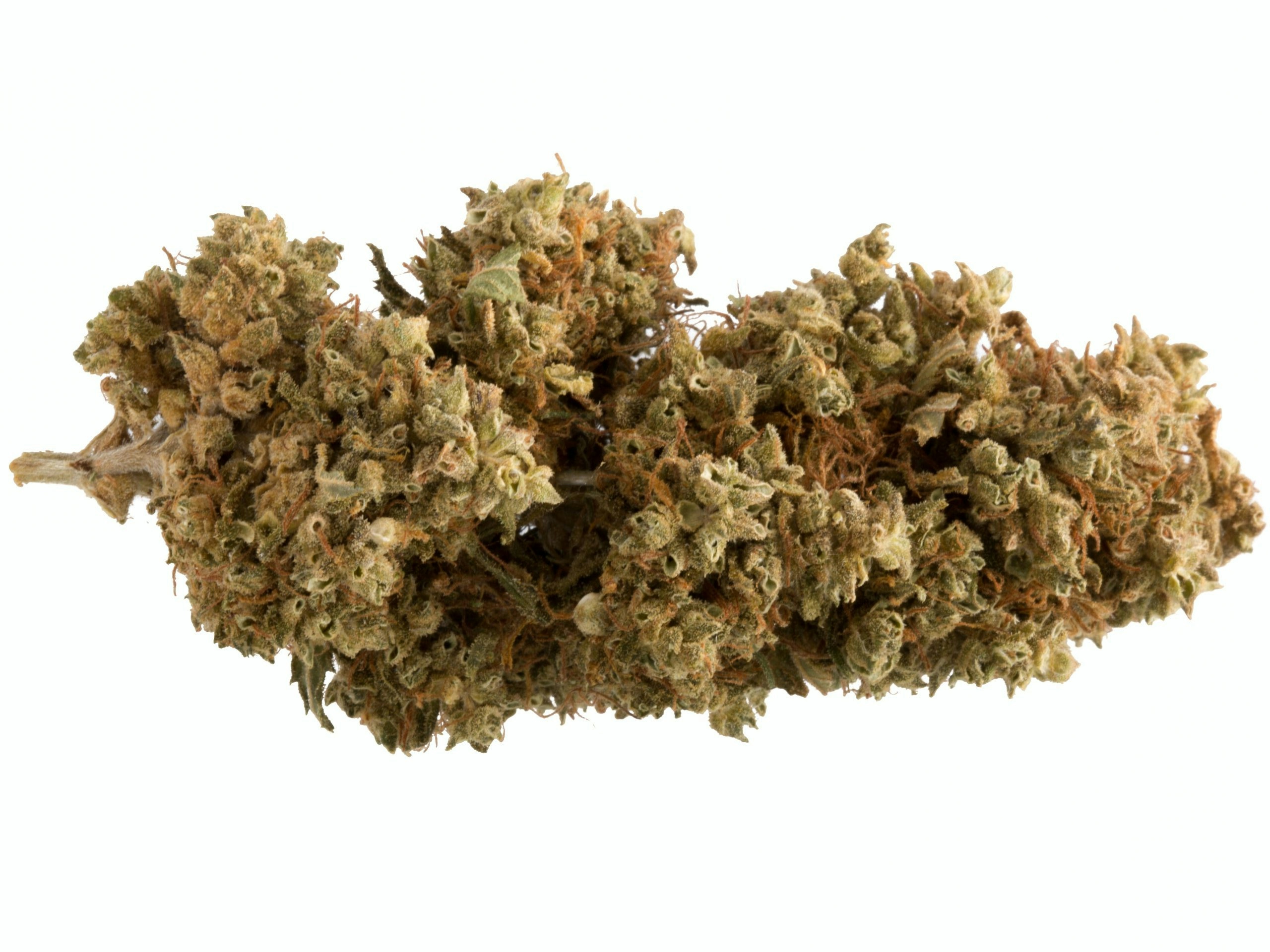 The 10 Best Strains To Treat Neuropathy Symptoms