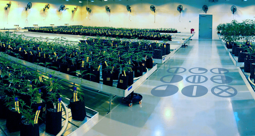 Seed-To-Sale: C3 Industries Is Raising The Bar For Multi-State Operators