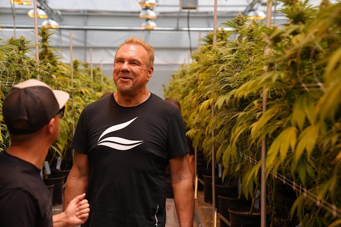 The Complete 420 Guide In 2023