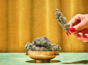 Behind The Brand: Lighthouse Dispensary Helps Consumers Become Educated Cannabis Users