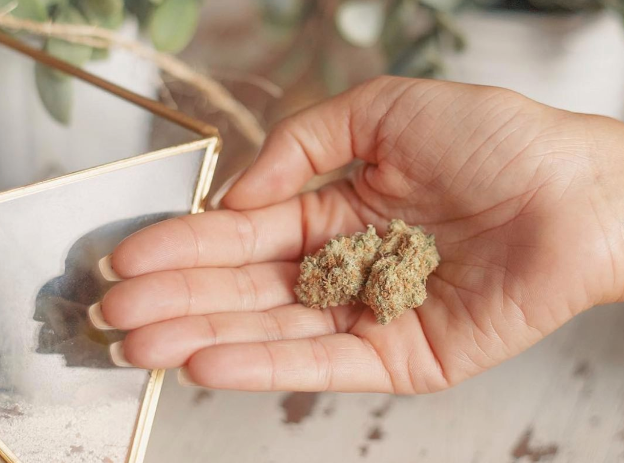 Behind The Brand: Lighthouse Dispensary Helps Consumers Become Educated Cannabis Users