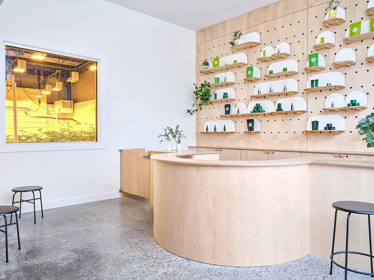 Best Dispensaries In Portland, Maine