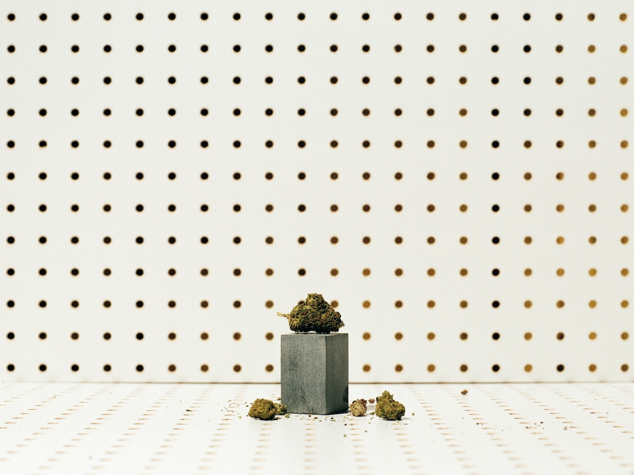 How To Properly Prepare Your Cannabis Brand For Market Trends