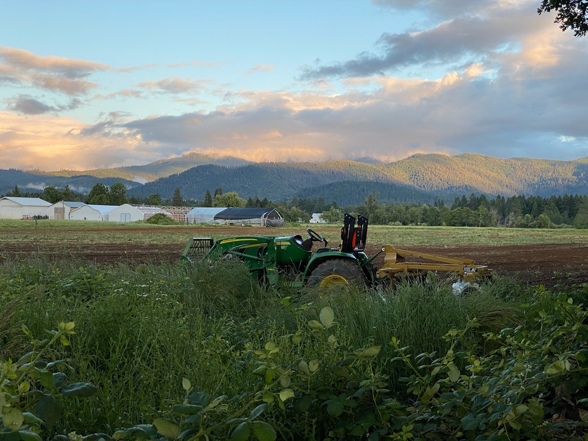 Behind The Brand: Rogue Shop Is A Family-Owned Hemp Company With A Story To Tell