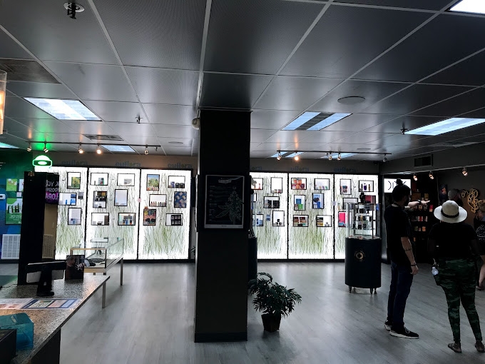 Best 5 Dispensaries In Lakewood, CO