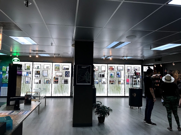 Best 5 Dispensaries In Lakewood, CO