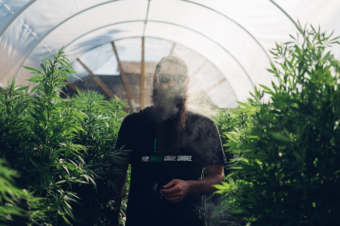 Grow Like A Pro: Master These 5 Techniques For Growing Cannabis Seeds