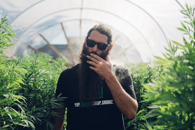 Grow Like A Pro: Master These 5 Techniques For Growing Cannabis Seeds