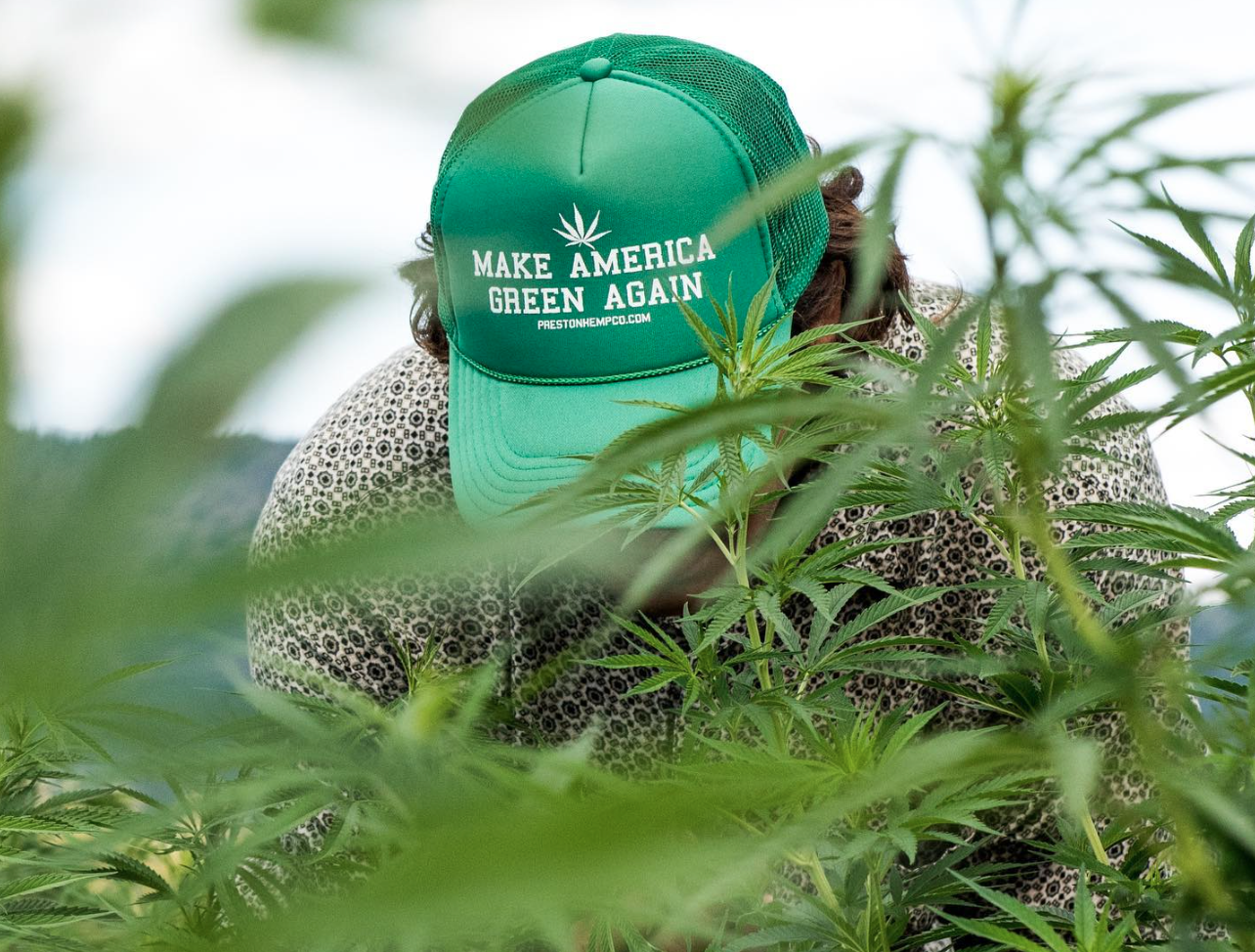 Quality Flowers For Smoking Like Never Before