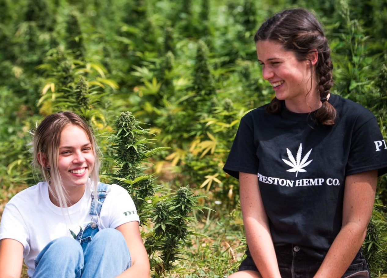 Quality Flowers For Smoking Like Never Before