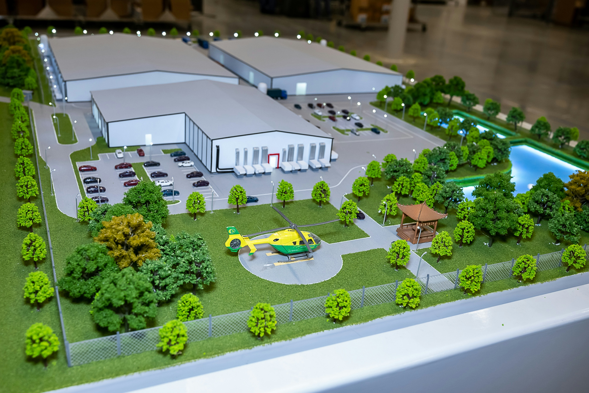 Lion Order: Free The Herb