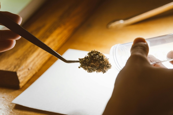 Exotic THCA Wholesale Flower