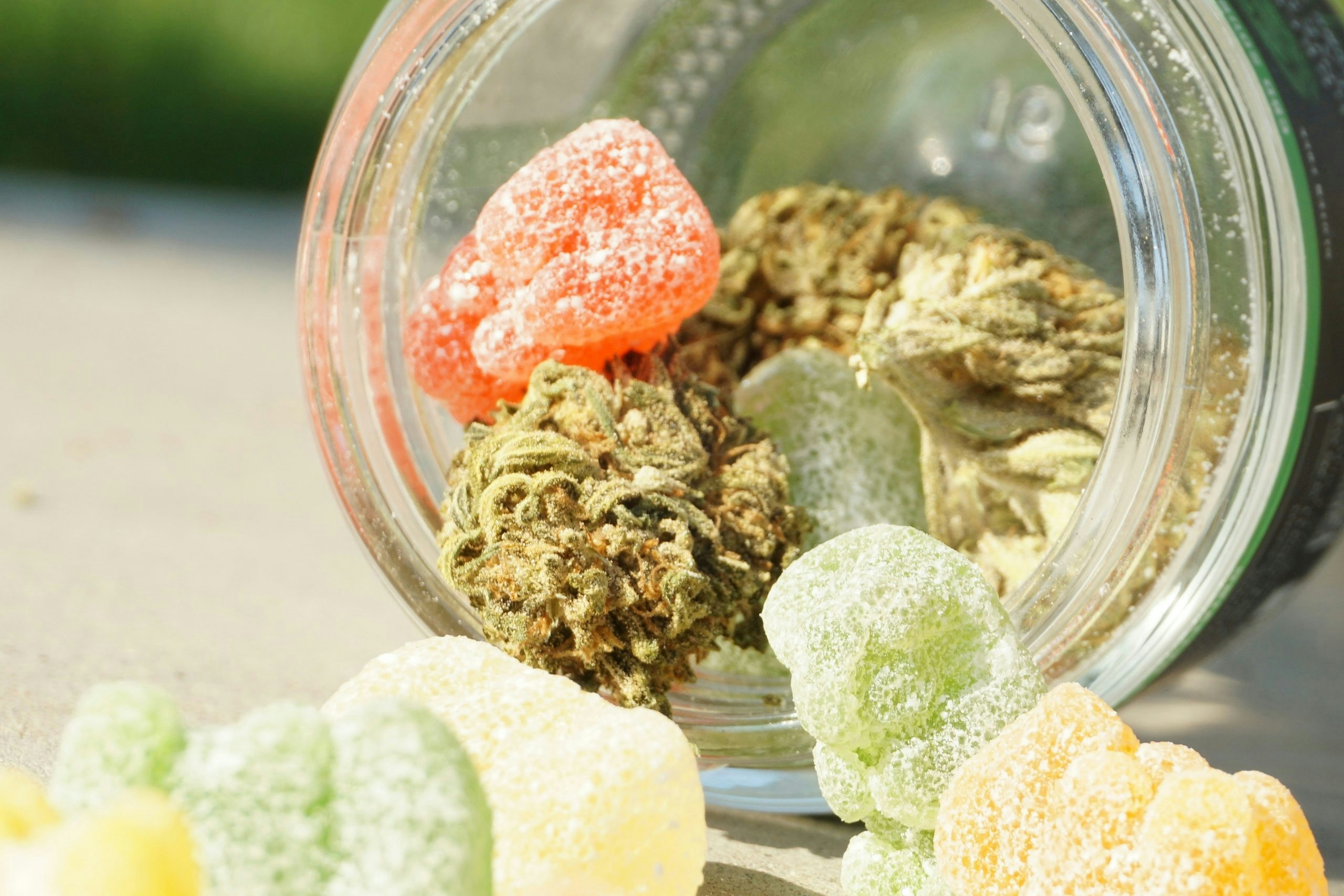 How to Store THC Gummies So They Stay Fresh (and Don’t Melt)