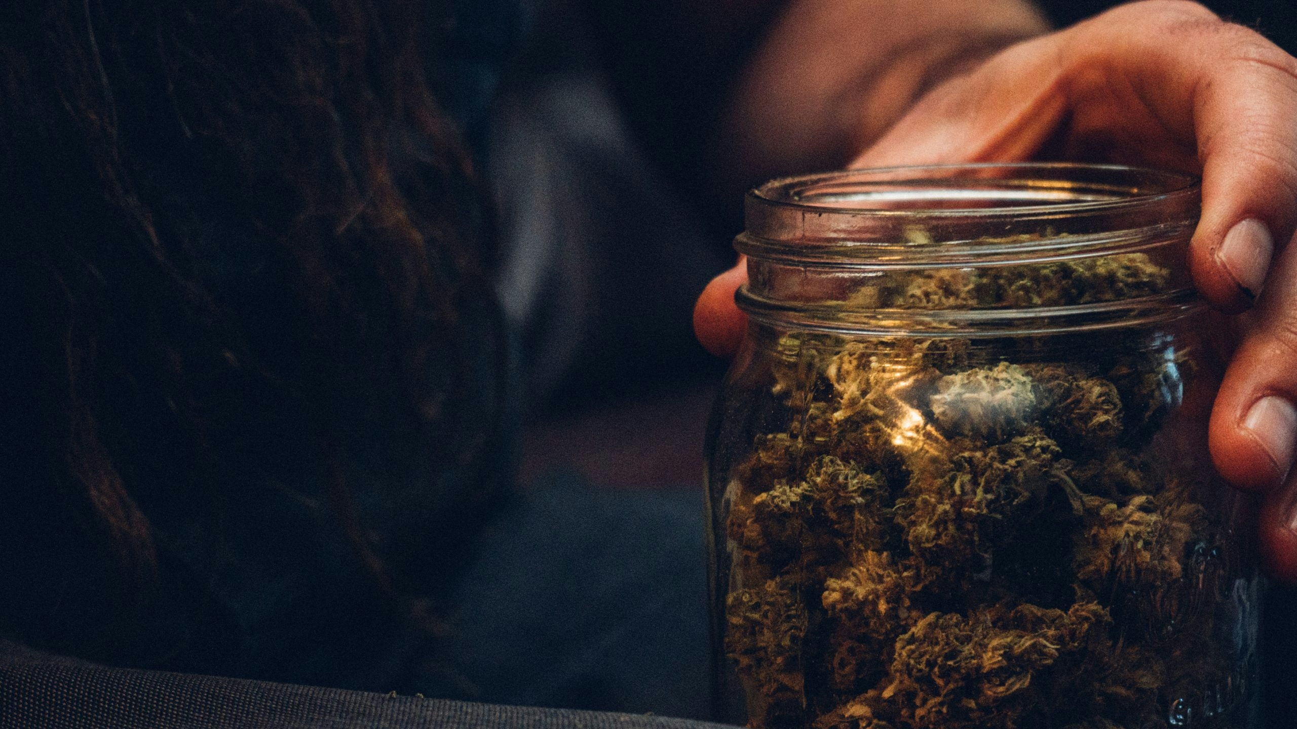 The Top 10 Most Popular Cannabis Seed Strains Of 2025