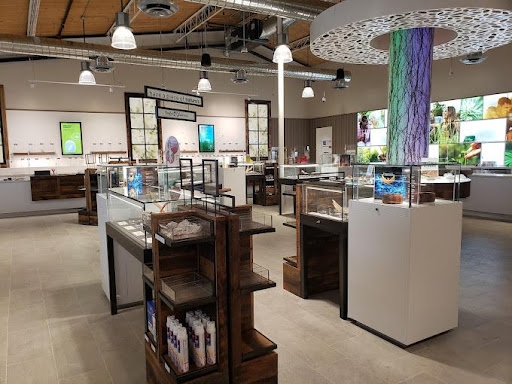 The Best Dispensaries In Peoria, AZ