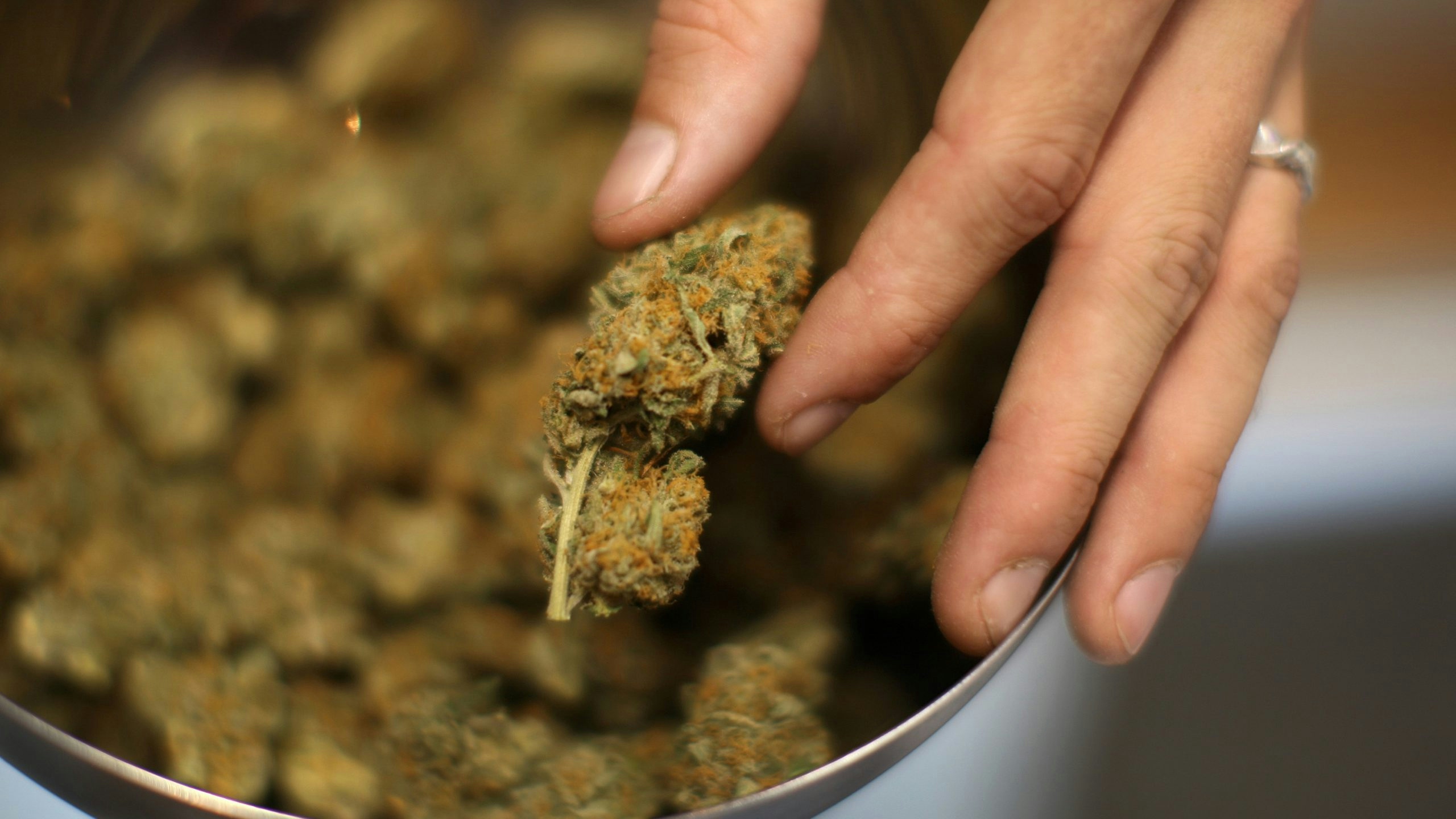 THCA Drug Test: Do You Fail?