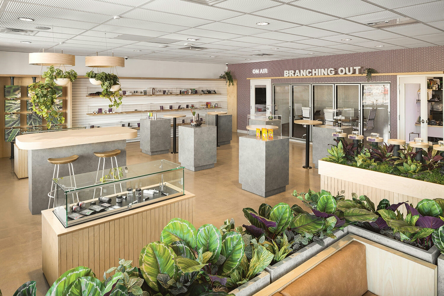 The Best Dispensaries In New River, AZ