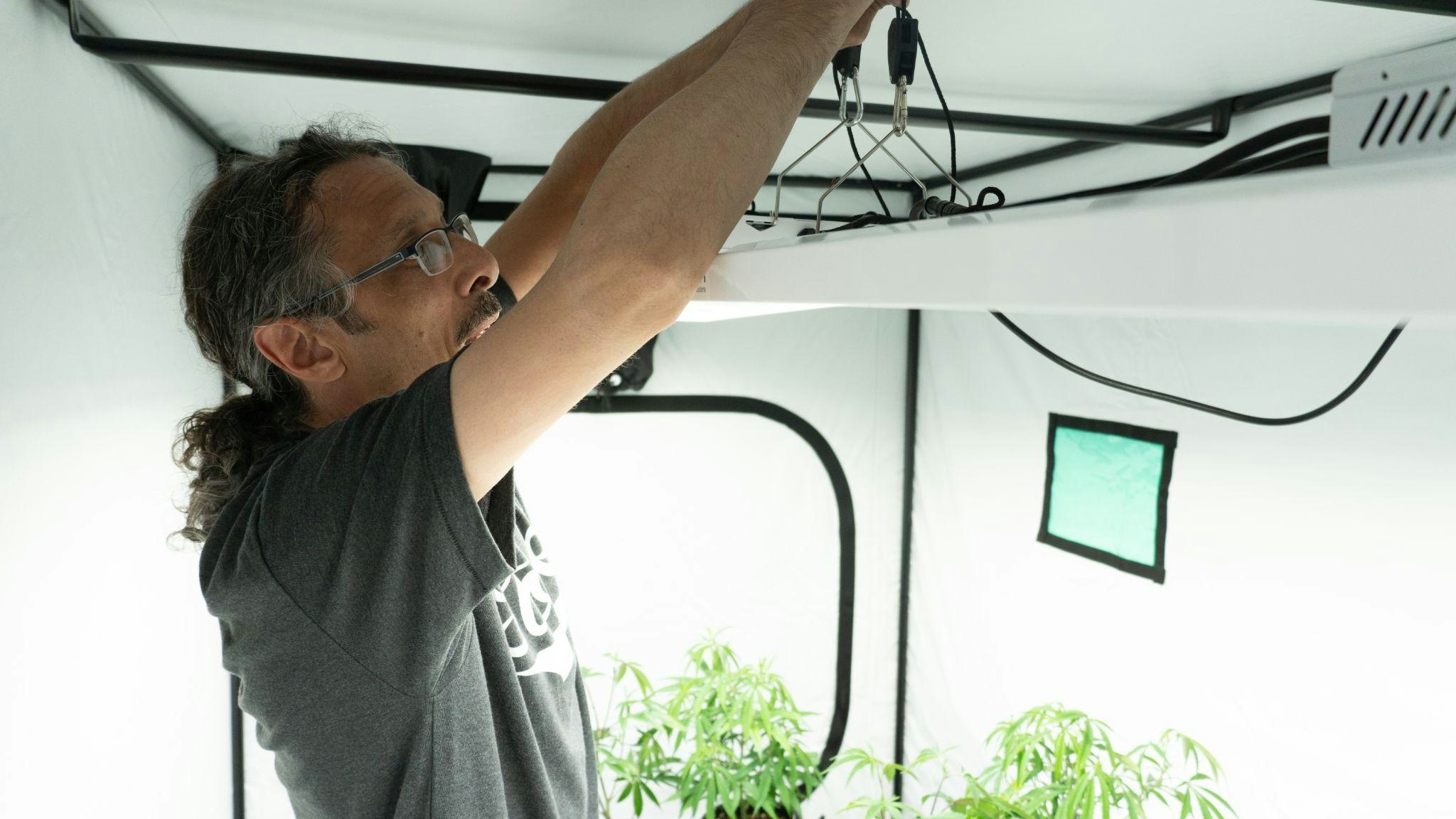 How to Grow Autoflower: Autoflower Grow Guide