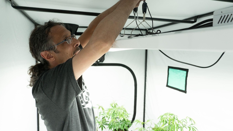 How to Grow Autoflower: Autoflower Grow Guide