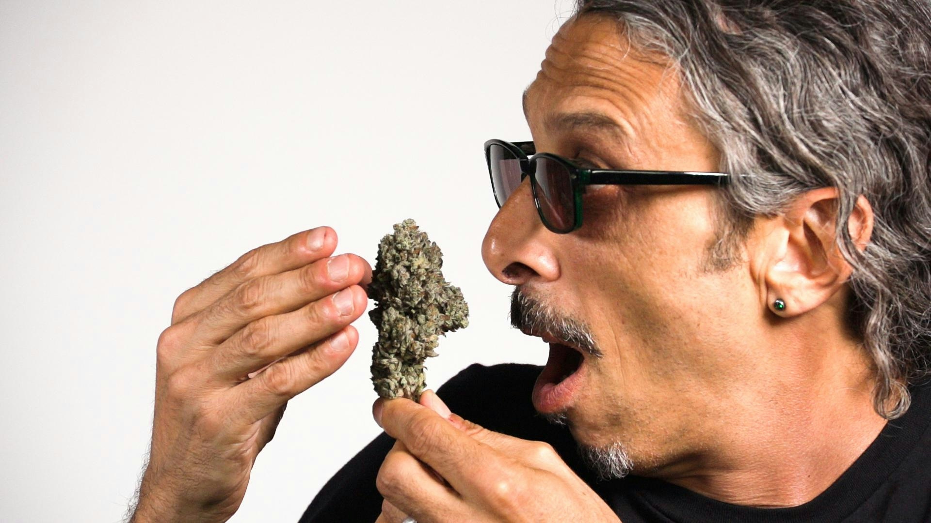 Strawberry Cough Seeds: How to Grow and Where to Find