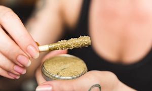 Kief Vs. Hash: Key Differences