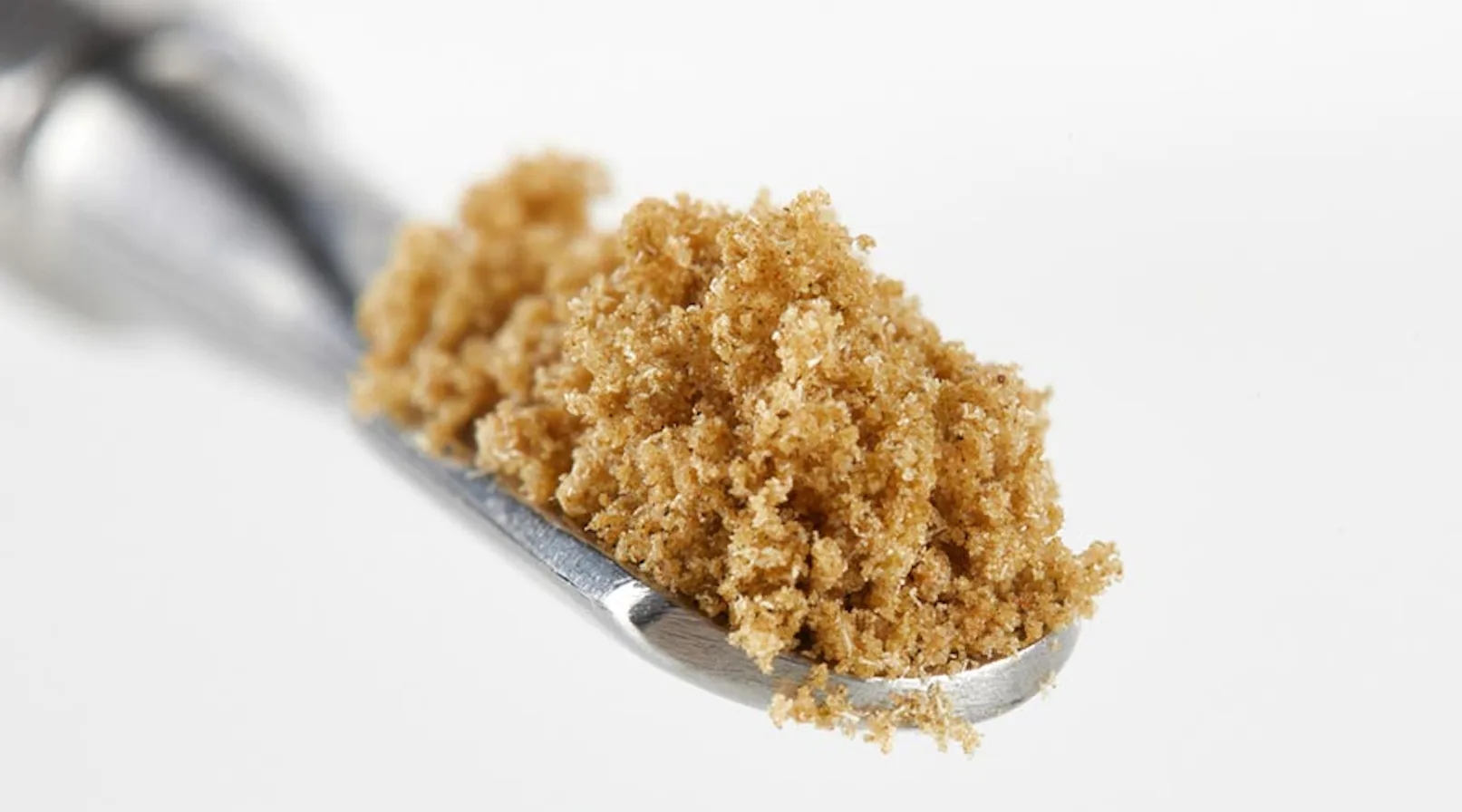 Kief Vs. Hash: What’s The Difference?