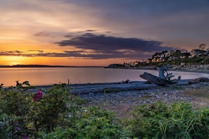 The Best Dispensaries In Shoreline, WA
