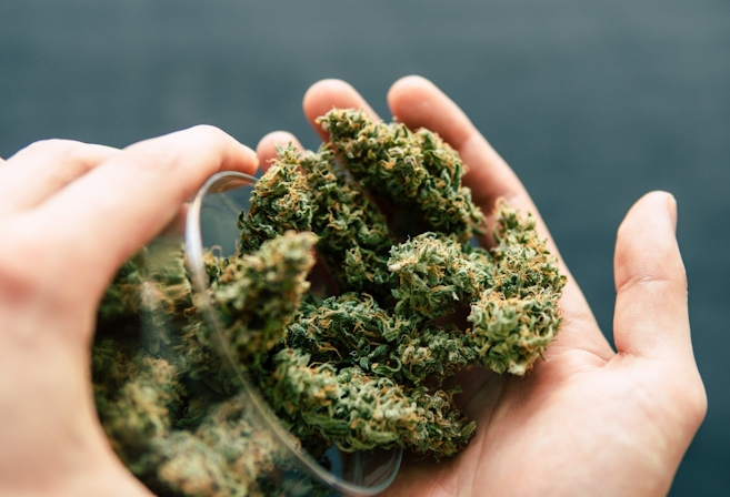 How To Make Cannabis Oil From Home: Easy Guide