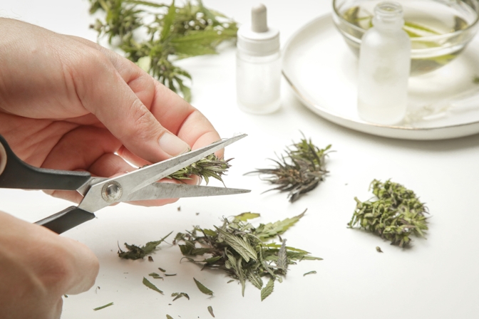 How To Make Cannabis Oil From Home: Easy Guide