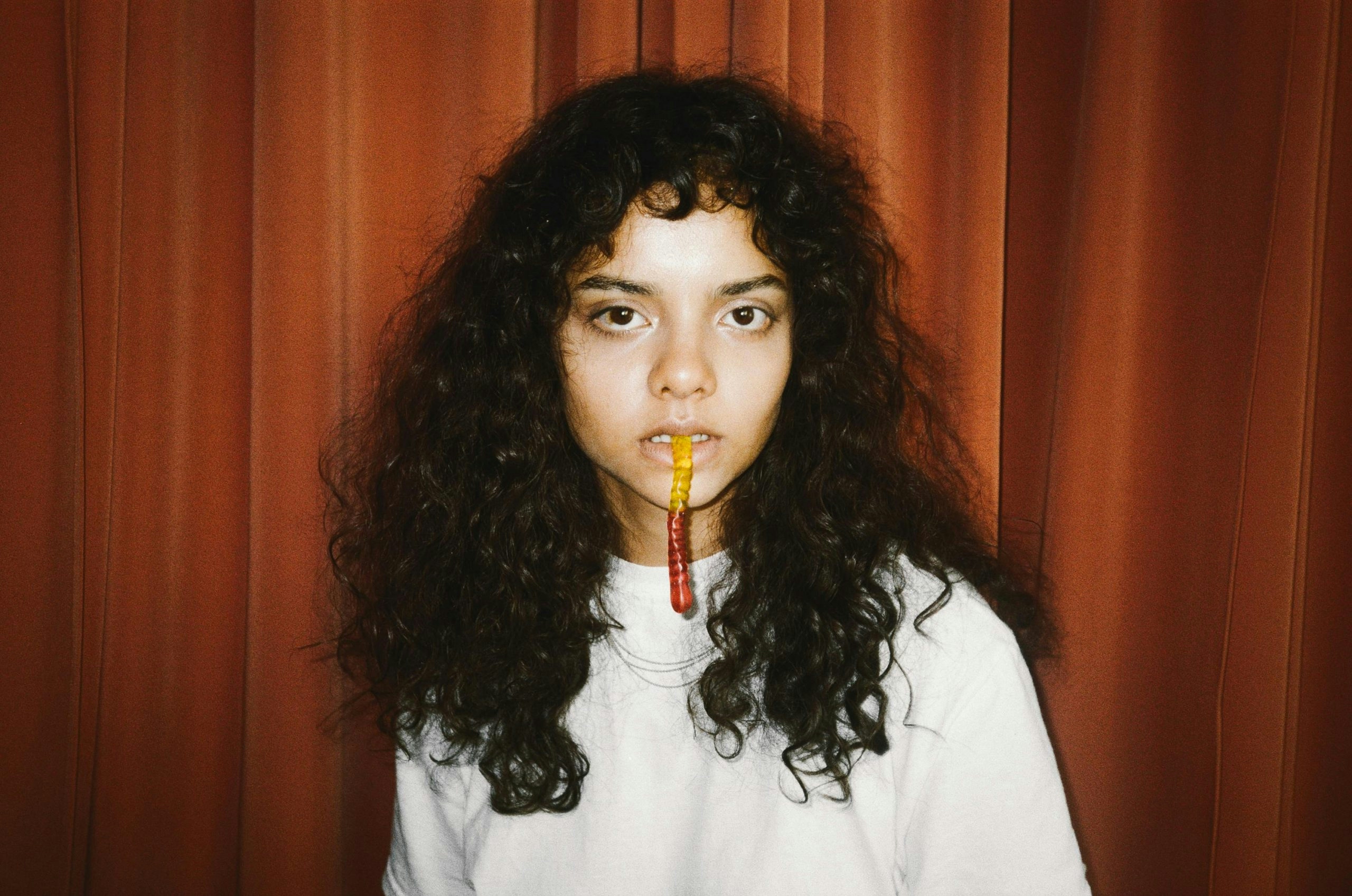 The Best Mushroom Gummies