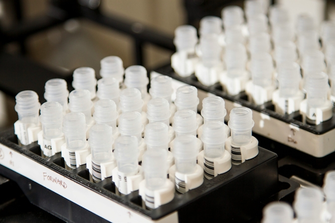 THCA Drug Test: Do You Fail?