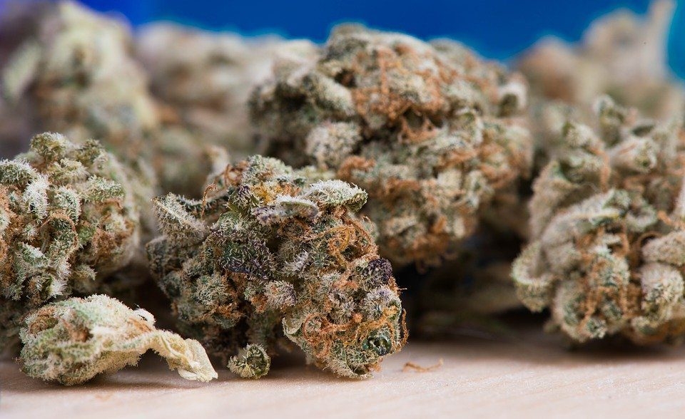 Top 5 Diesel Strains Of 2025
