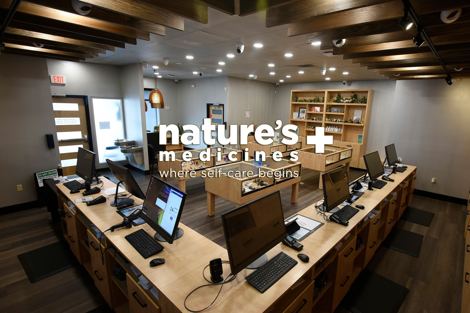 The Best Dispensaries In Wayne, MI