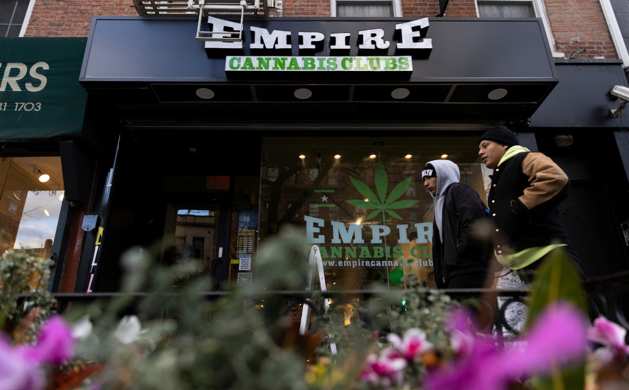 The Best Dispensaries In New York, NY