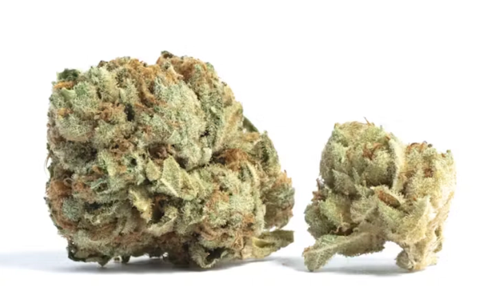 10 Best Sativa Strains 2026 Has To Offer