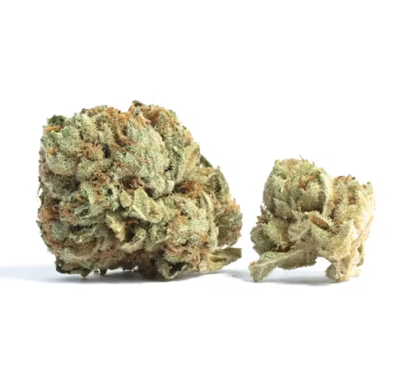 10 Best Sativa Strains 2025 Has To Offer