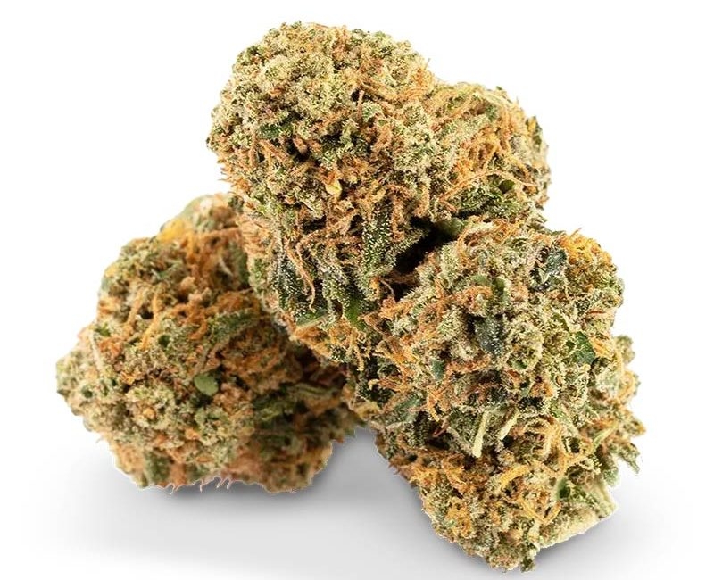 10 Best Sativa Strains 2025 Has To Offer