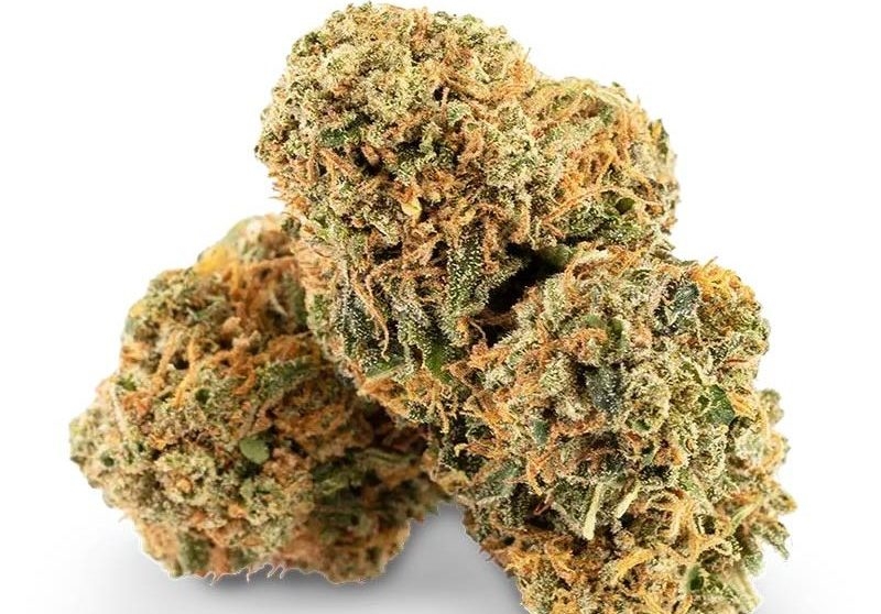 10 Best Sativa Strains 2026 Has To Offer