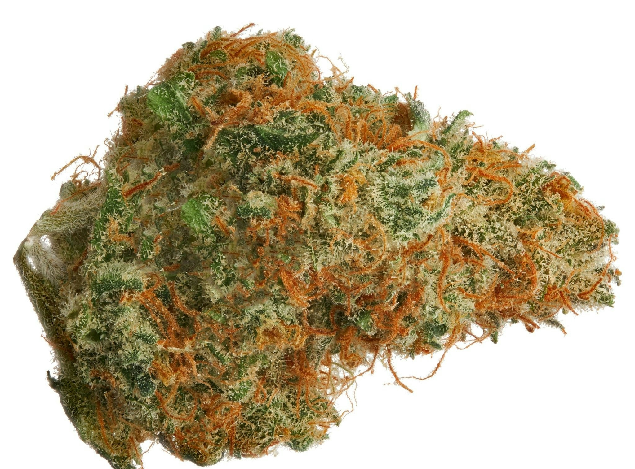 10 Best Sativa Strains 2025 Has To Offer